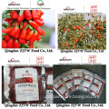 2014 Fresh 100% Natural Organic Goji Berry